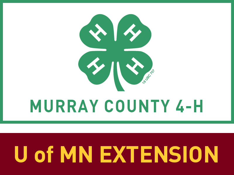 Logo for 2024 Murray County Fair