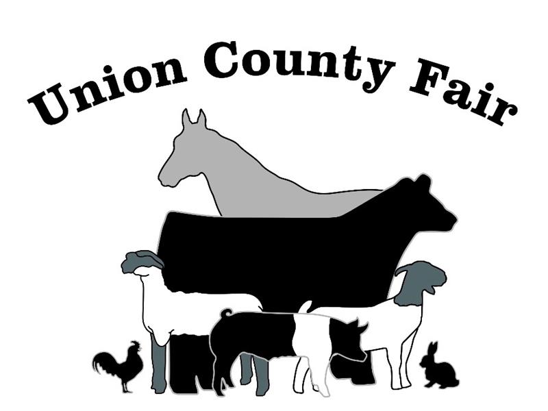 Fair Logo