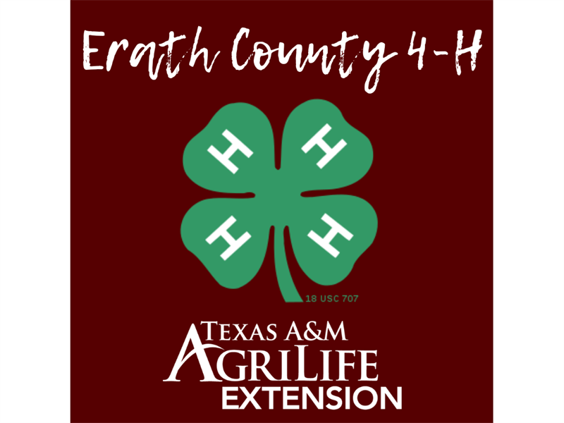 Logo for 2025 Erath County 4-H Youth Fair