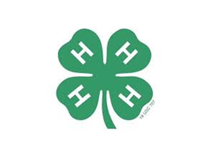 Logo for 2025 Lenawee County 4-H Fair