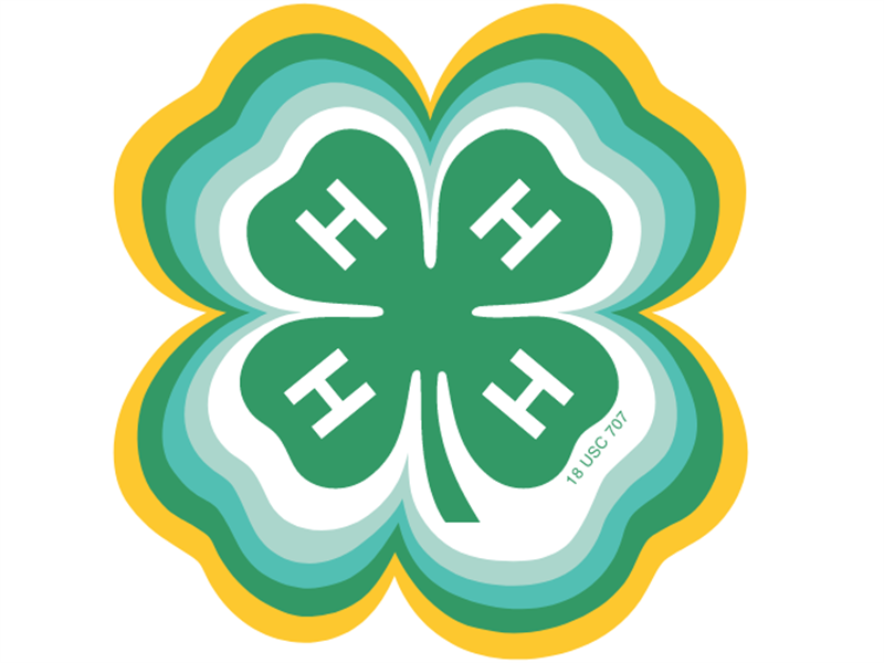 Logo for 2025 Henry County 4-H Fair